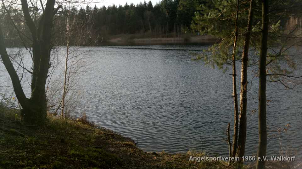 Frühjarsfeeling Anfang Januar am See im Hochholzer Wald